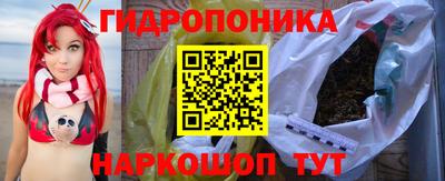 крисы Балахна