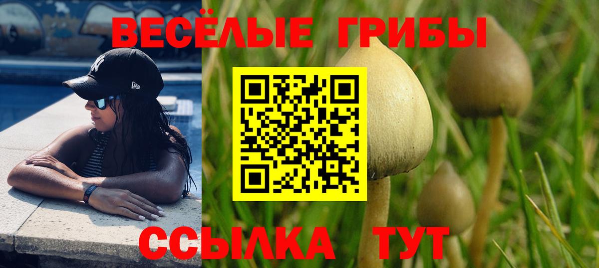 Долгопрудный  Псилоцибиновые грибы MAGIC MUSHROOMS  Вход с VPN  Псилоцибиновые грибы прущие грибы 